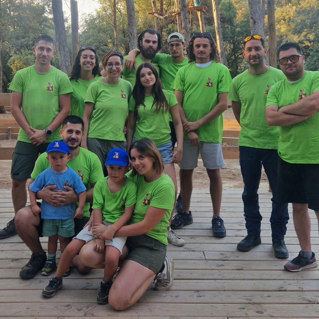 king_loisirs_accrobranche_saint_remy